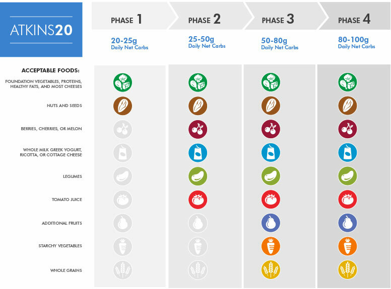 Atkins 20 Overview - image